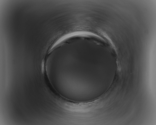 X0000089660019200706281329