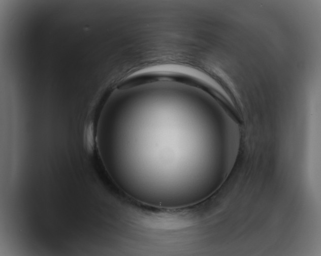 X0000089660020200706281329