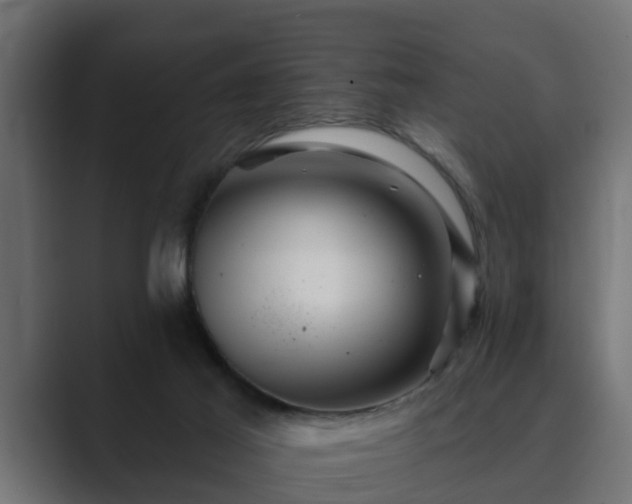 X0000089660021200706281329