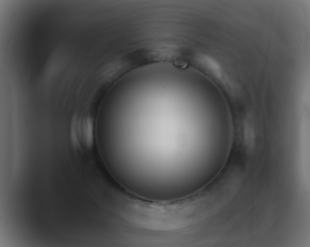 X0000089660022200706281329