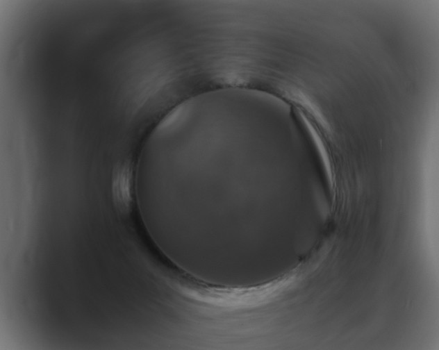 X0000089660023200706281329