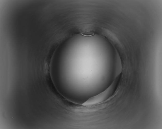 X0000089660025200706281329