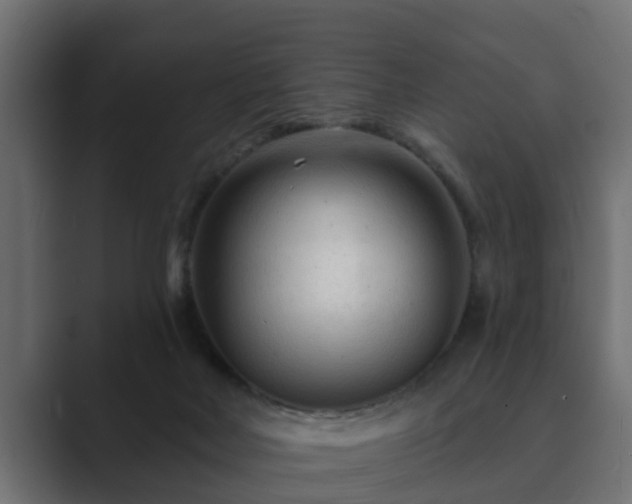 X0000089660026200706281329