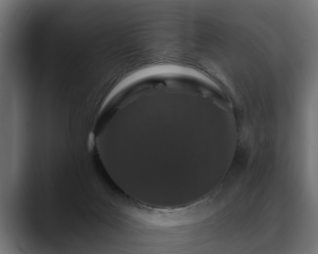 X0000089660027200706281329