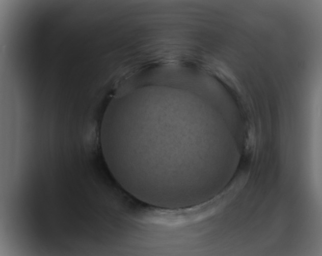 X0000089660029200706281329