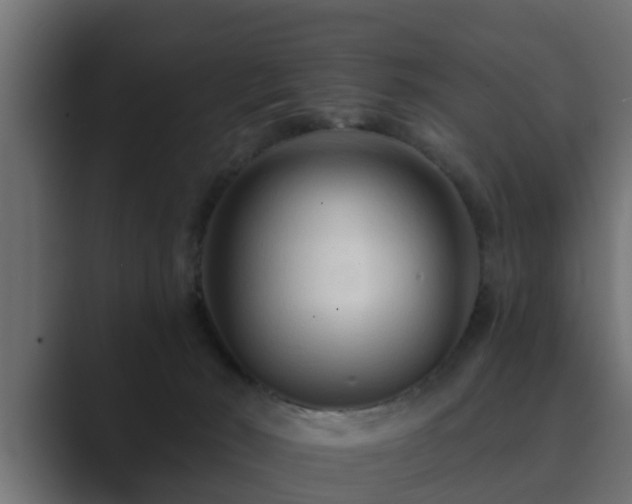 X0000089660030200706281329