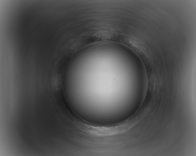 X0000089660034200706281329