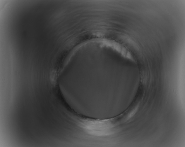 X0000089660036200706281329
