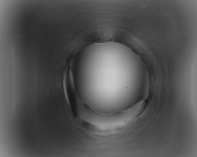 X0000089660037200706281329