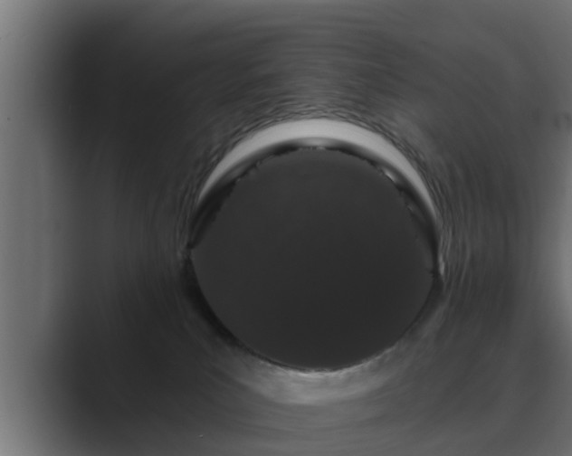 X0000089660039200706281329