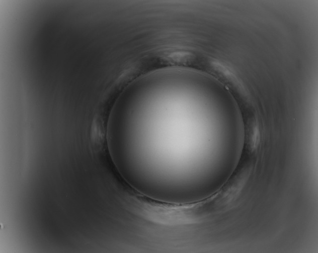 X0000089660040200706281329