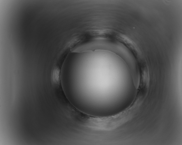 X0000089660041200706281329