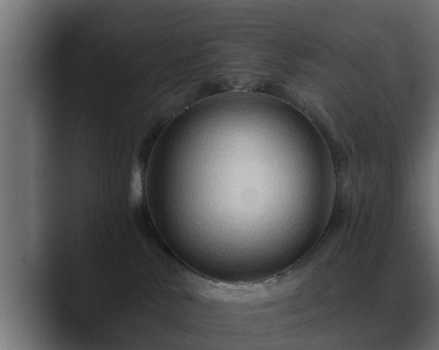 X0000089660042200706281329