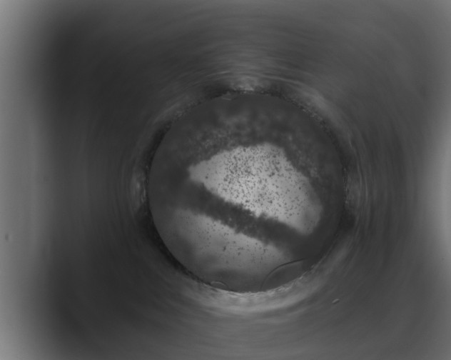 X0000089660043200706281329