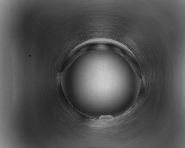 X0000089660045200706281329
