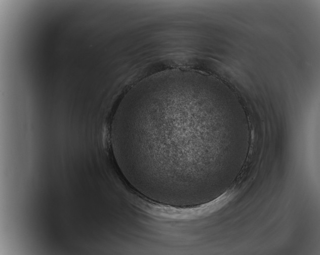 X0000089660048200706281329