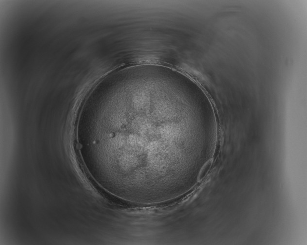 X0000089660049200706281328