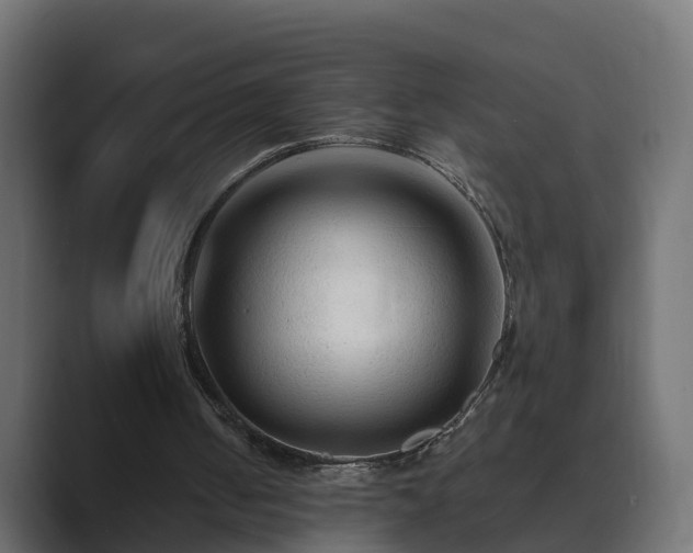 X0000089660050200706281328