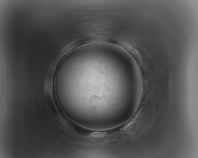 X0000089660051200706281328