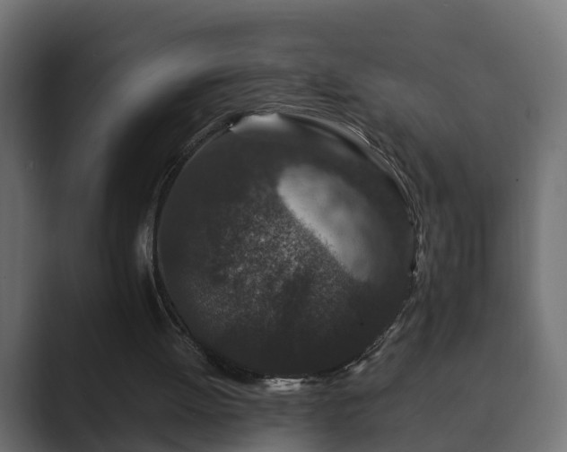 X0000089660052200706281328