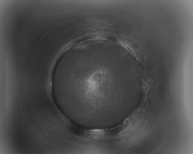 X0000089660053200706281328