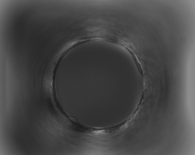 X0000089660054200706281328