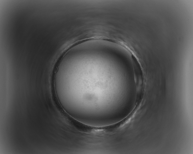 X0000089660055200706281328