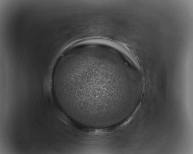 X0000089660056200706281328