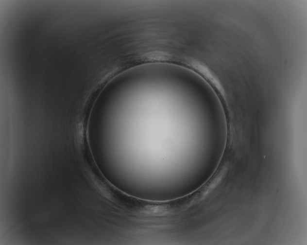 X0000089660057200706281328