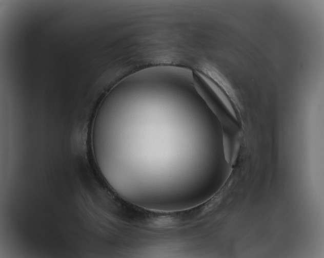 X0000089660058200706281328