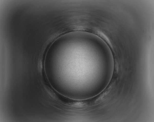 X0000089660059200706281328