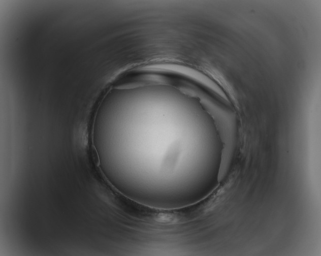 X0000089660060200706281328