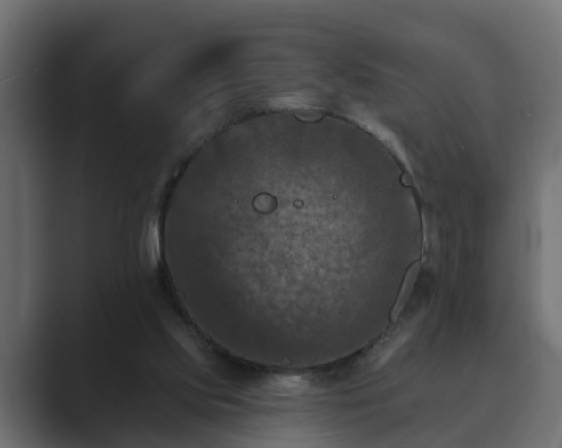 X0000089660061200706281328