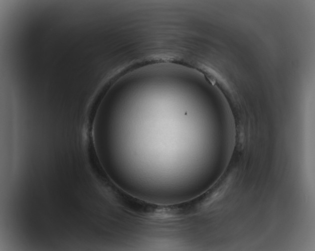X0000089660064200706281328