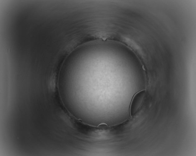 X0000089660065200706281328