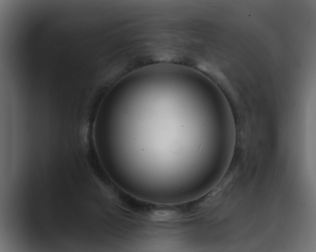 X0000089660066200706281328
