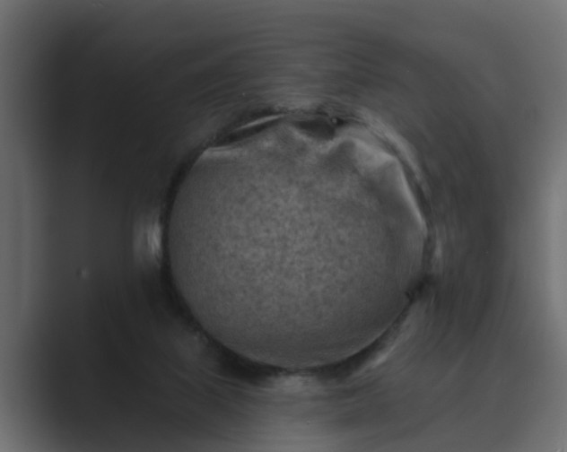 X0000089660067200706281328