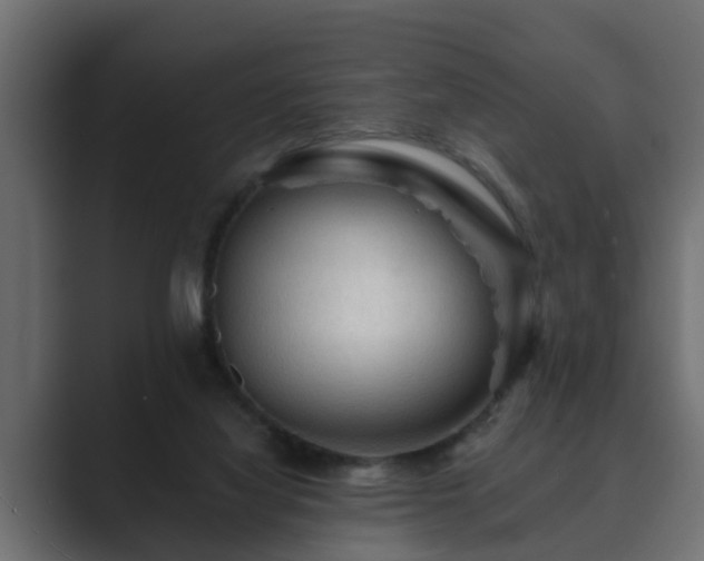 X0000089660068200706281328