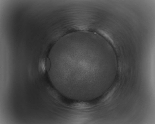 X0000089660069200706281329