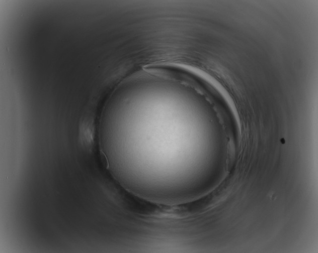X0000089660072200706281329