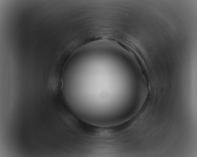 X0000089660073200706281329