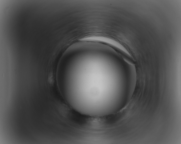 X0000089660074200706281329