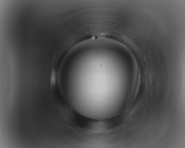 X0000089660075200706281329