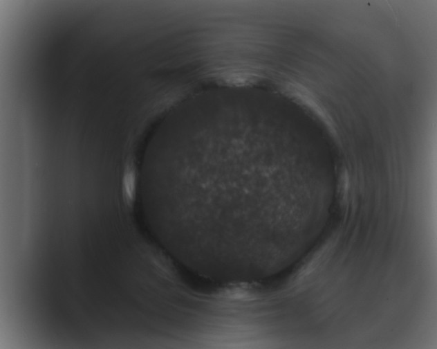 X0000089660076200706281329