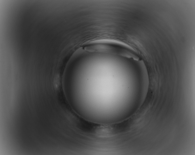 X0000089660077200706281329