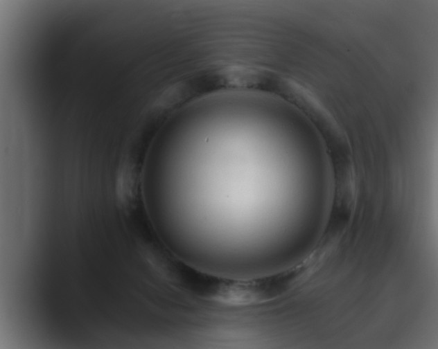 X0000089660078200706281329