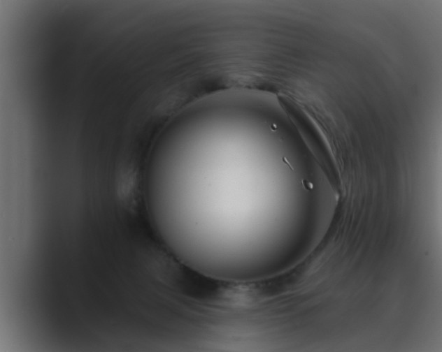 X0000089660079200706281329