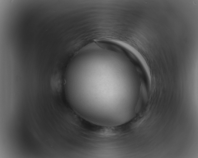 X0000089660080200706281329