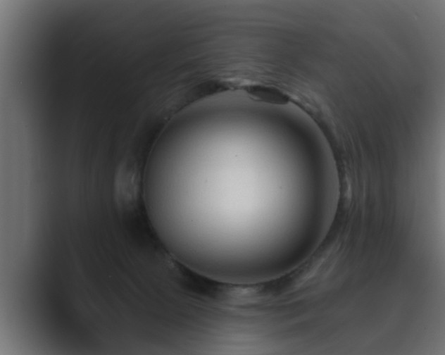 X0000089660081200706281329