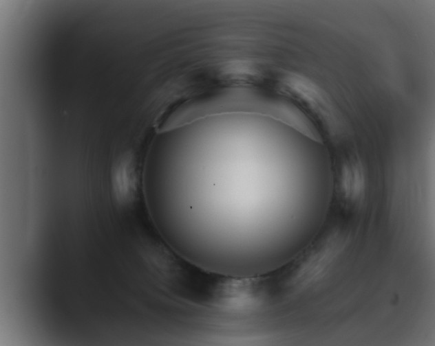 X0000089660084200706281329